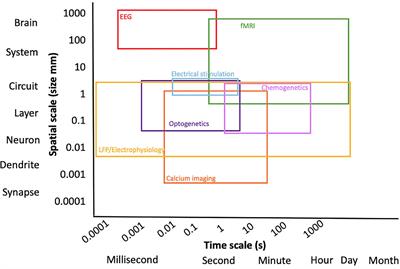 Combining magnetic resonance imaging with readout and/or perturbation of neural activity in animal models: Advantages and pitfalls